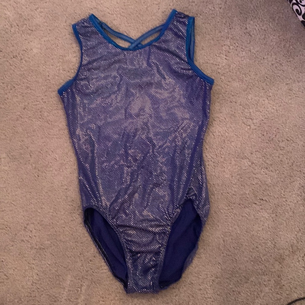Blue sparkly leotard